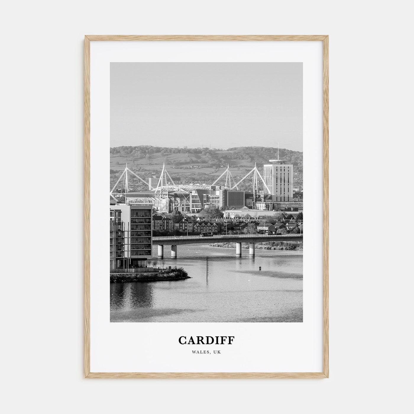 Cardiff Portrait B&W Poster