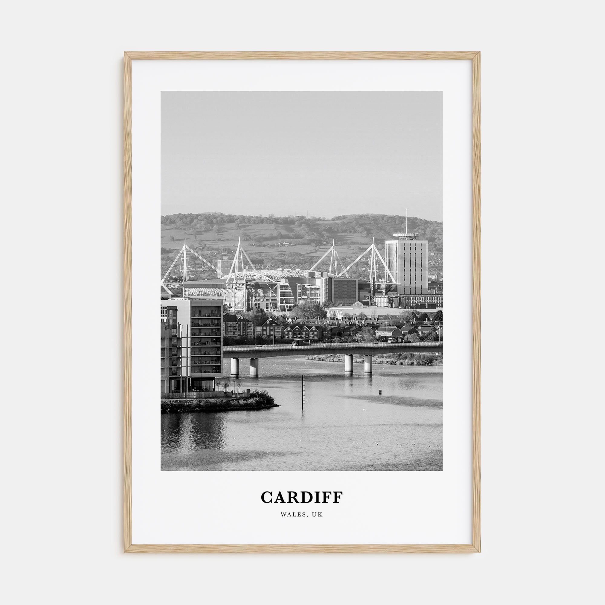 Cardiff Portrait B&W Poster