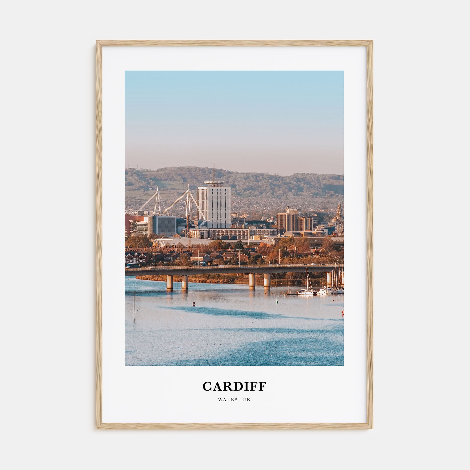 Cardiff Portrait Color Poster