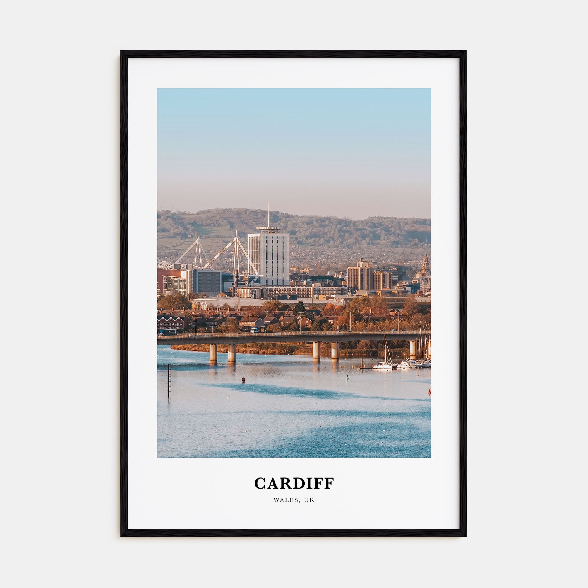 Cardiff Portrait Color Poster