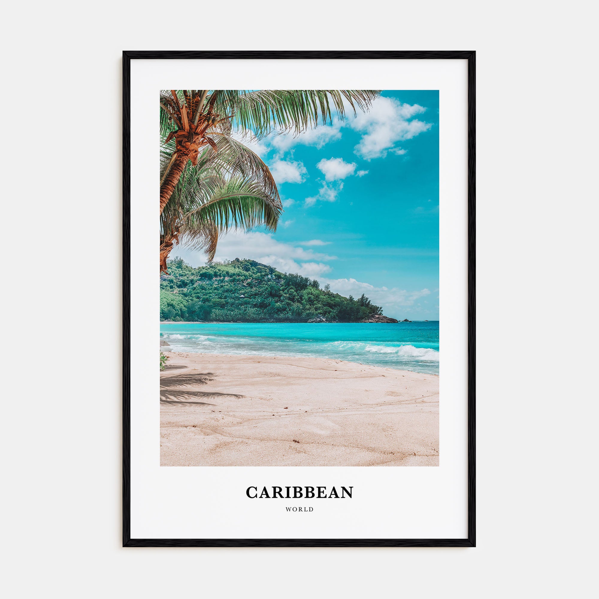Caribbean Portrait Color No 2 Poster