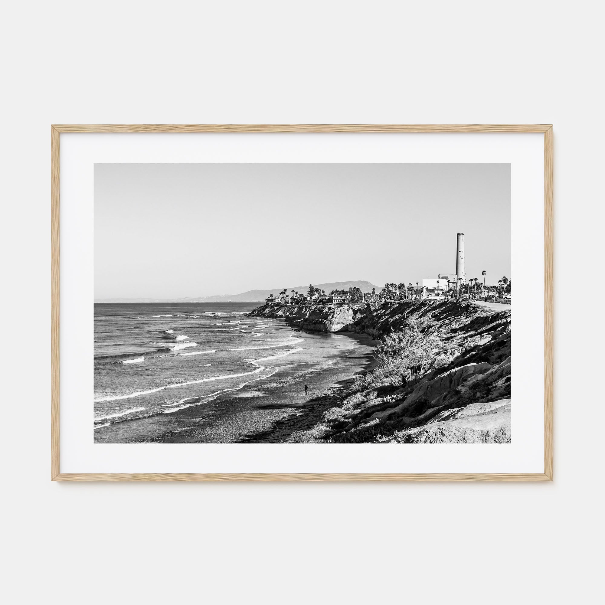 Carlsbad Landscape B&W Poster
