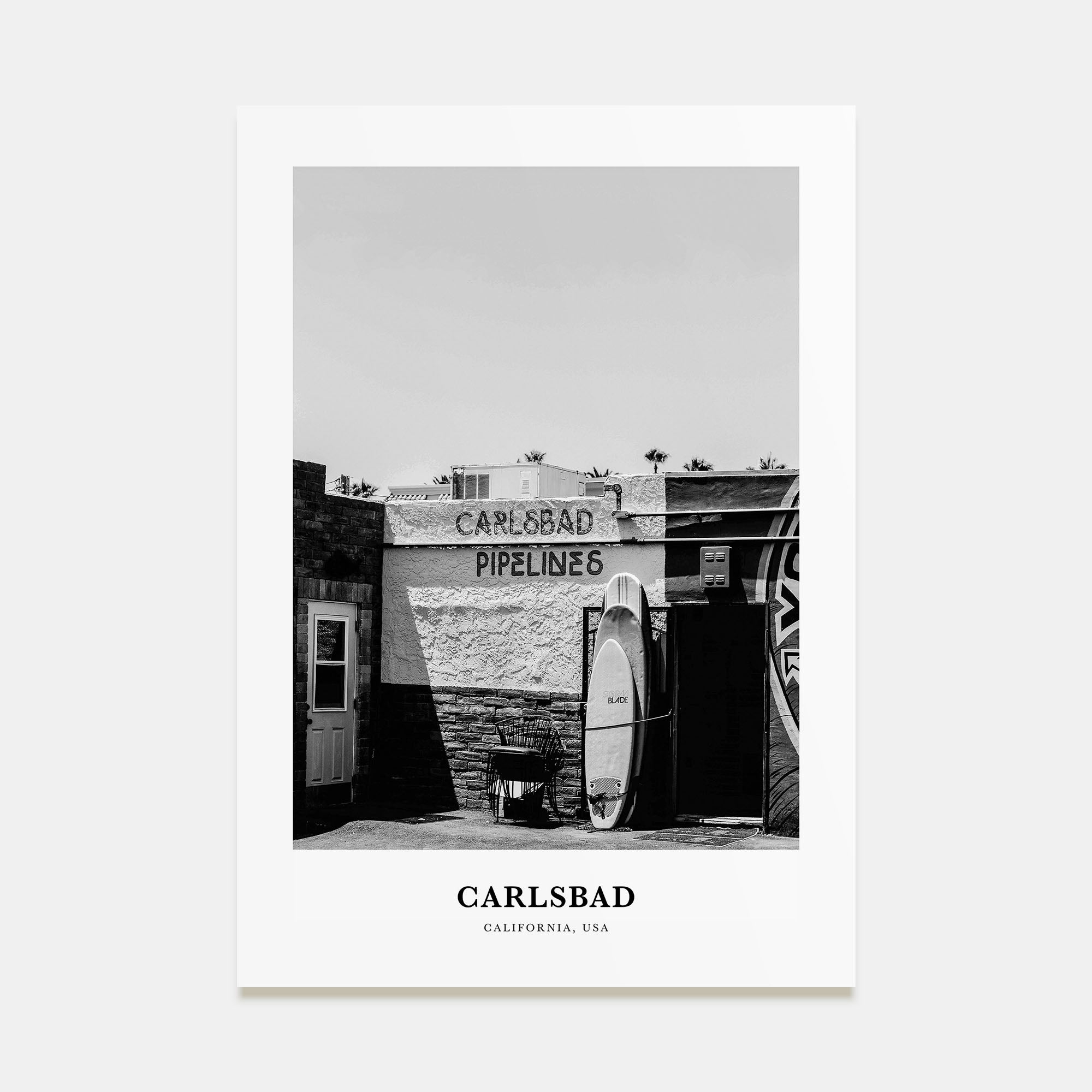 Carlsbad Portrait B&W No 2 Poster