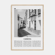 Carmona Travel B&W Poster