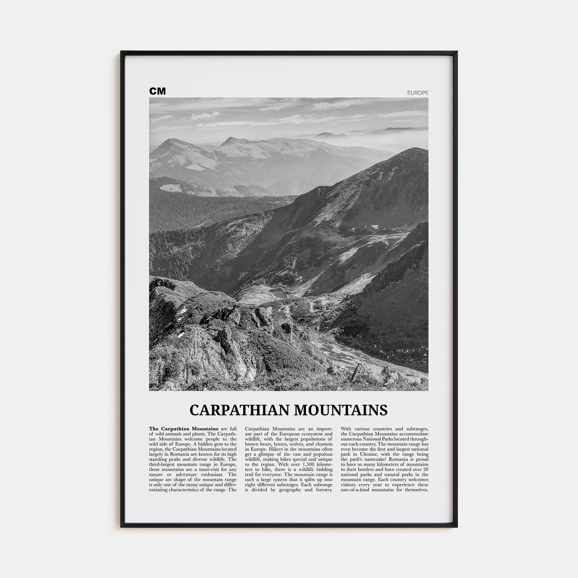 Carpathian Mountains Travel B&W Poster