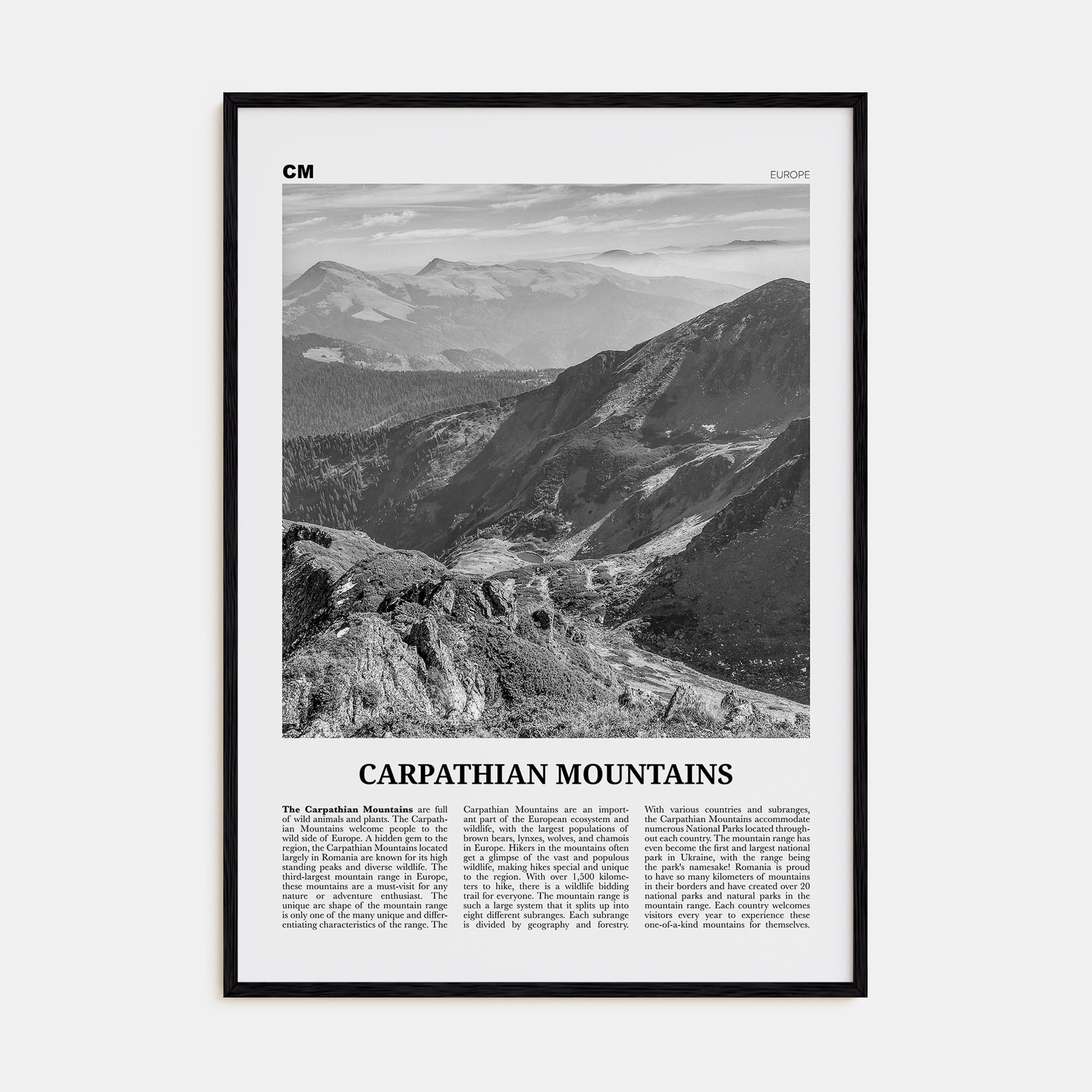 Carpathian Mountains Travel B&W Poster