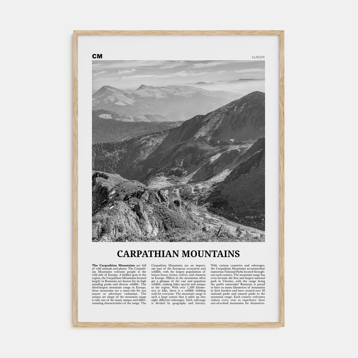 Carpathian Mountains Travel B&W Poster