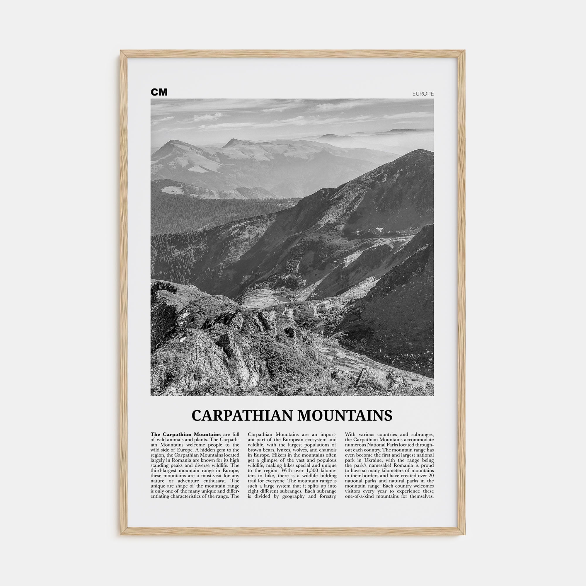 Carpathian Mountains Travel B&W Poster