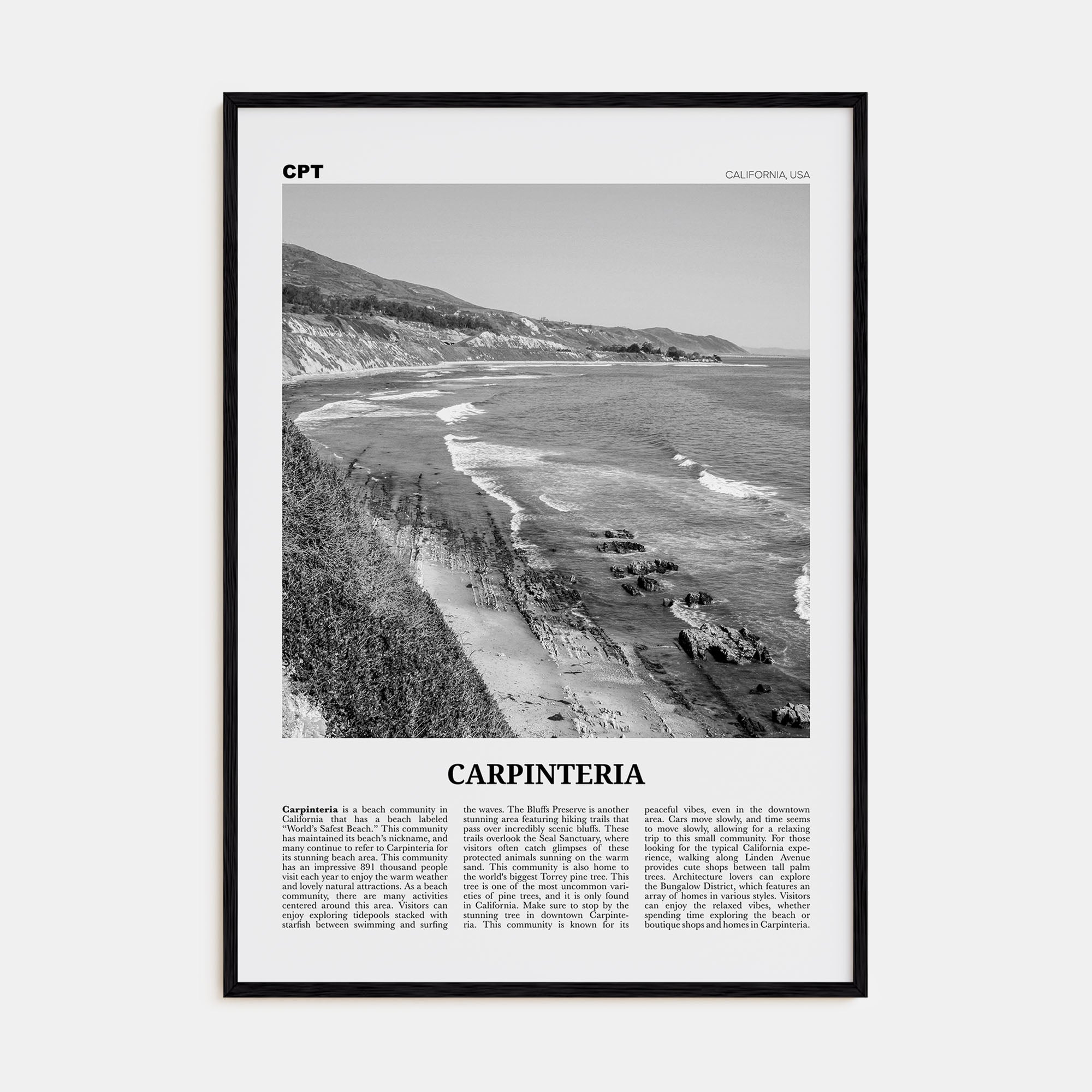Carpinteria Travel B&W Poster