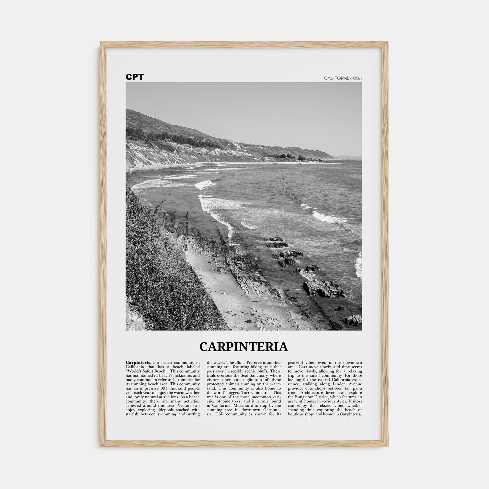 Carpinteria Travel B&W Poster