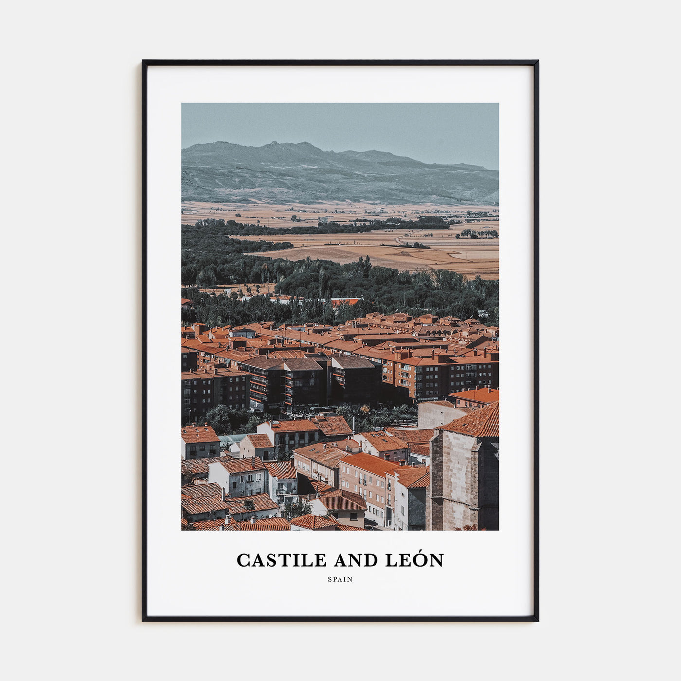 Castile and León Portrait Color Poster
