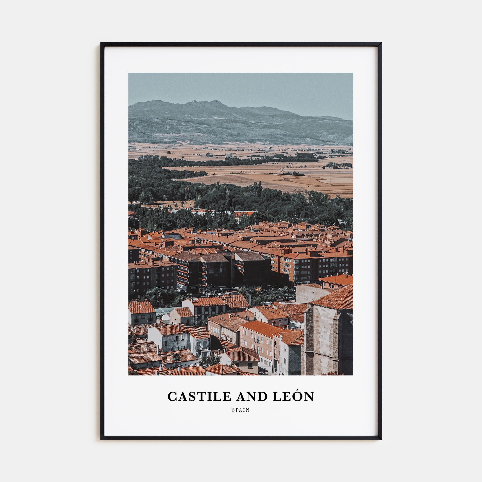 Castile and León Portrait Color Poster