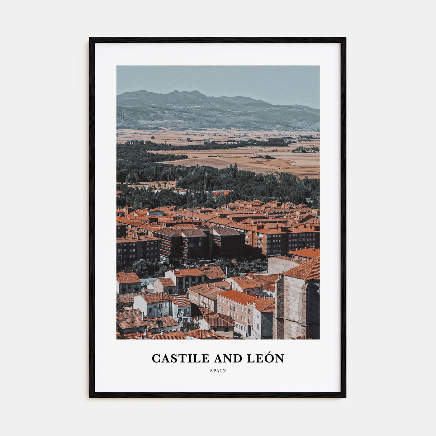 Castile and León Portrait Color Poster