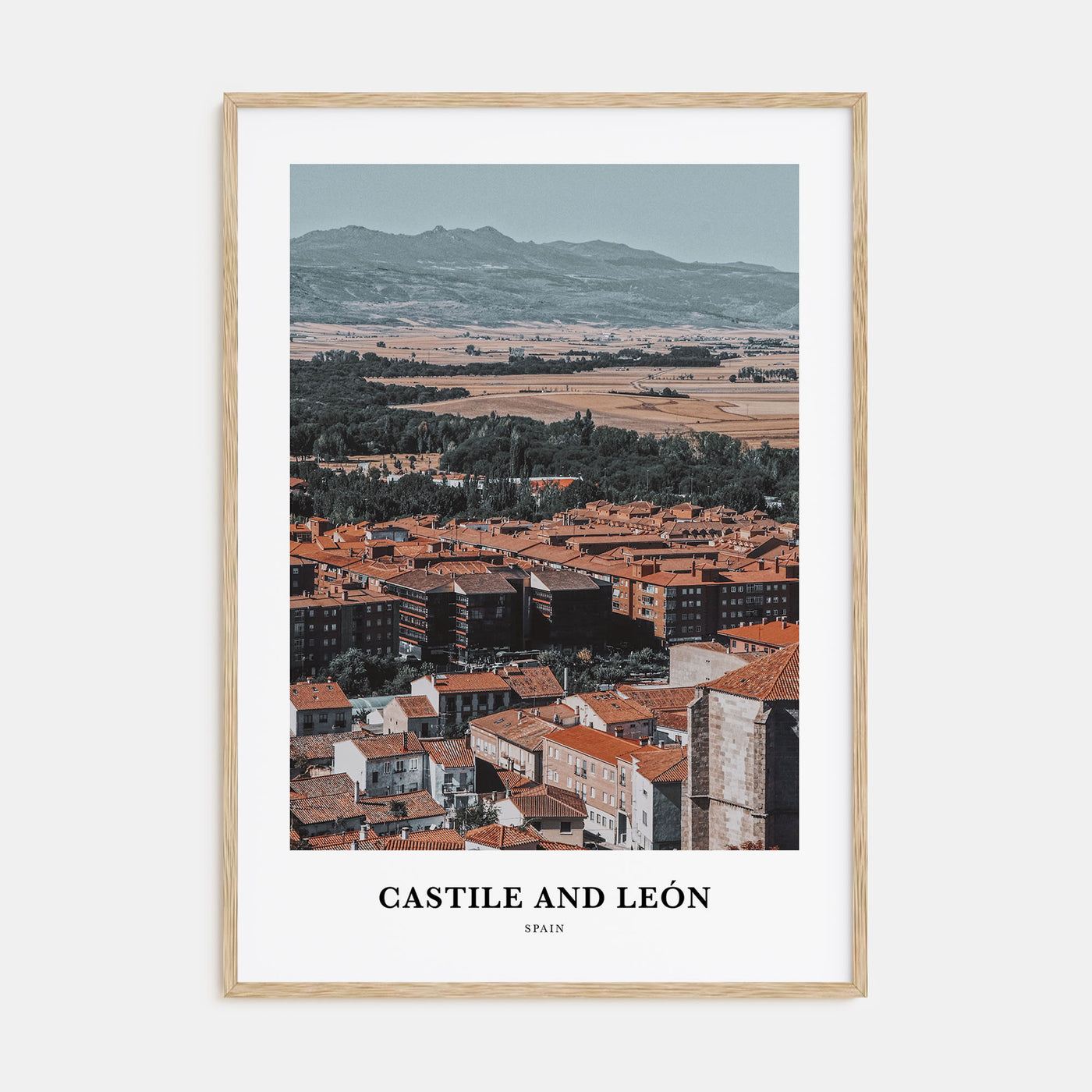 Castile and León Portrait Color Poster