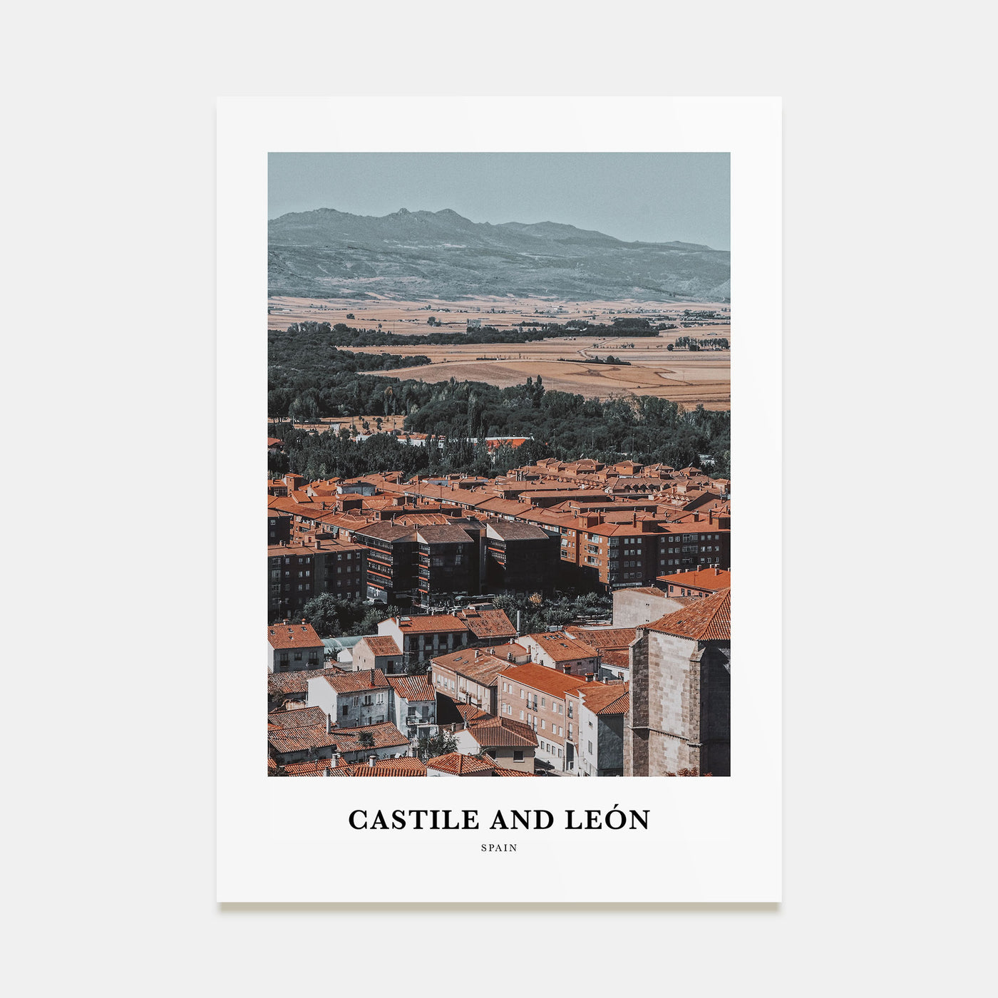 Castile and León Portrait Color Poster