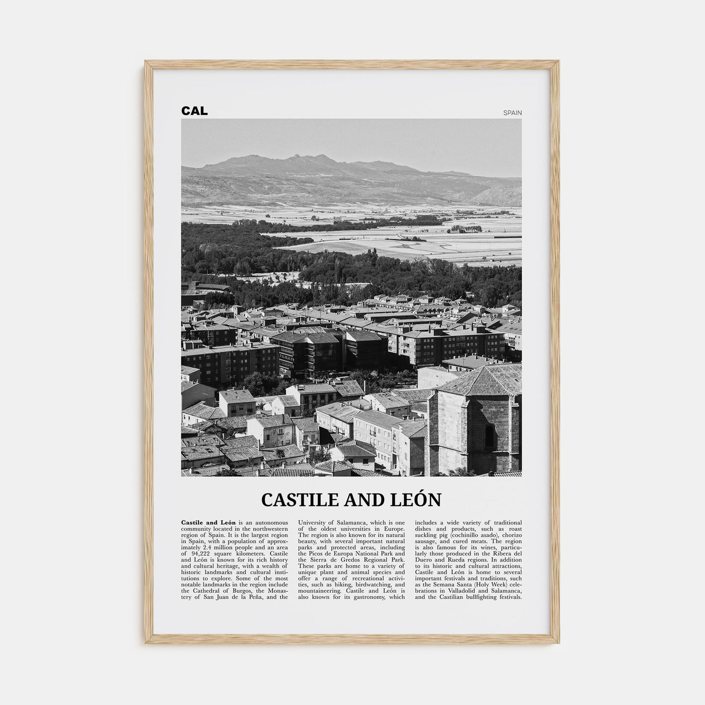 Castile and León Travel B&W Poster