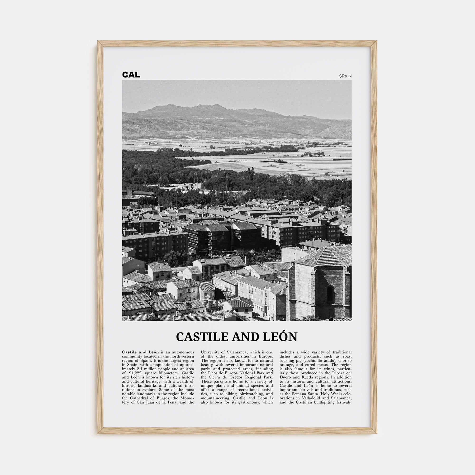 Castile and León Travel B&W Poster