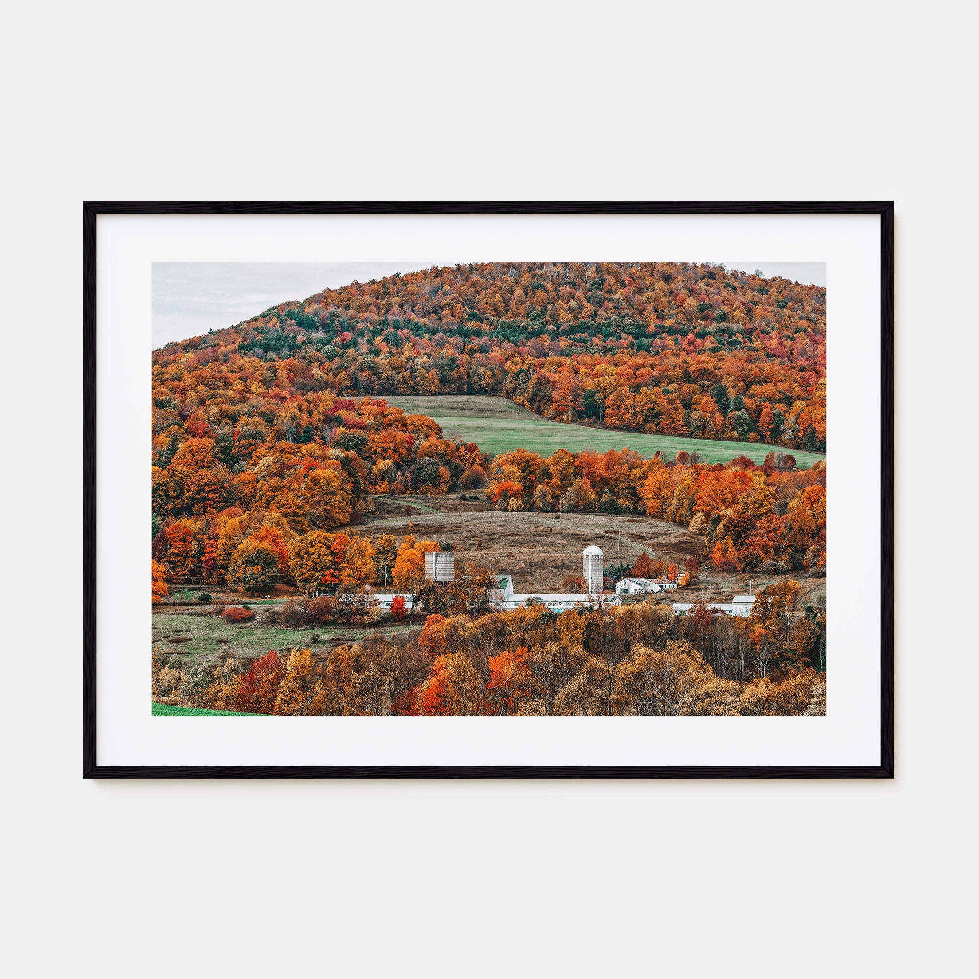 Catskill Mountains Landscape Color Poster