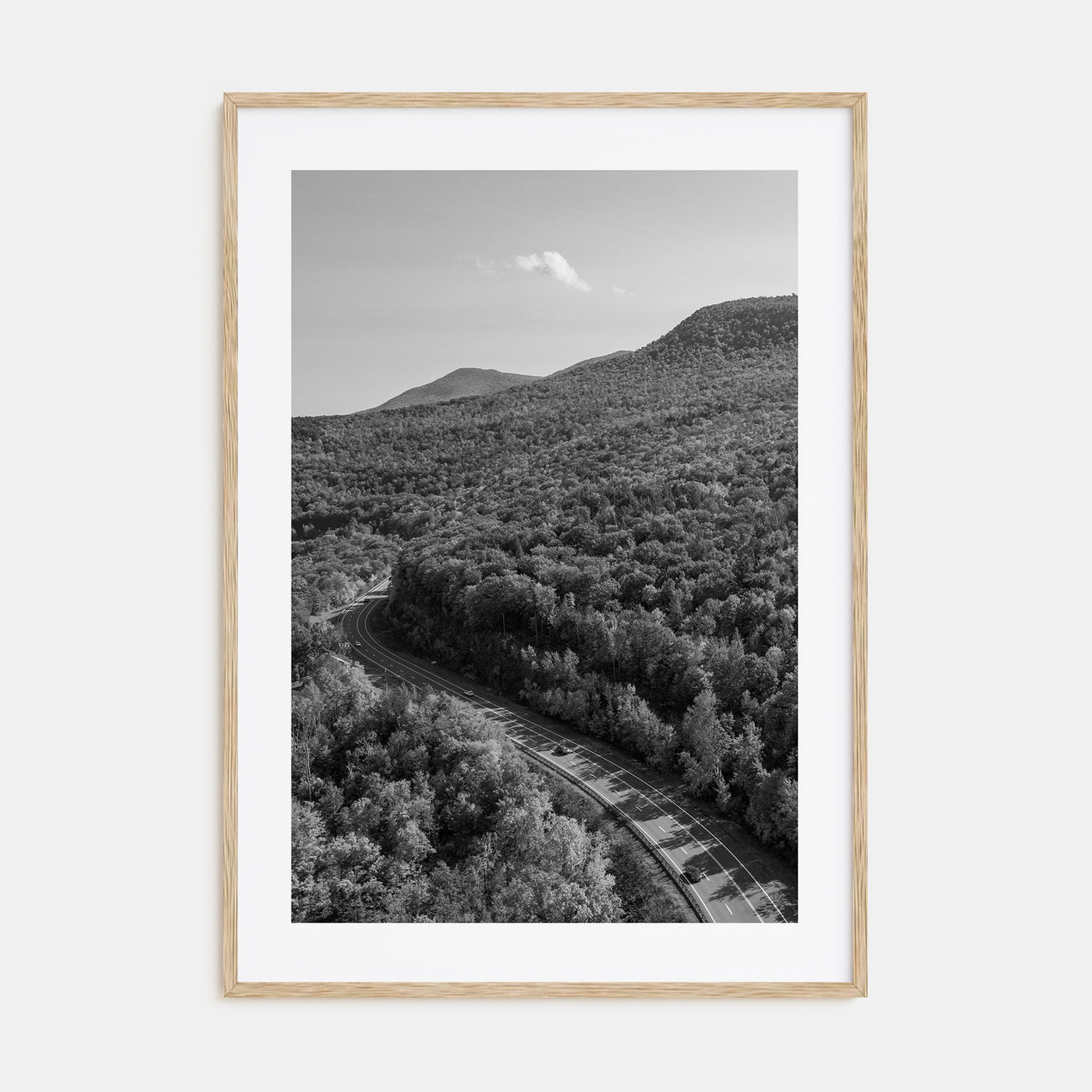 Catskill Mountains Photo B&W Poster