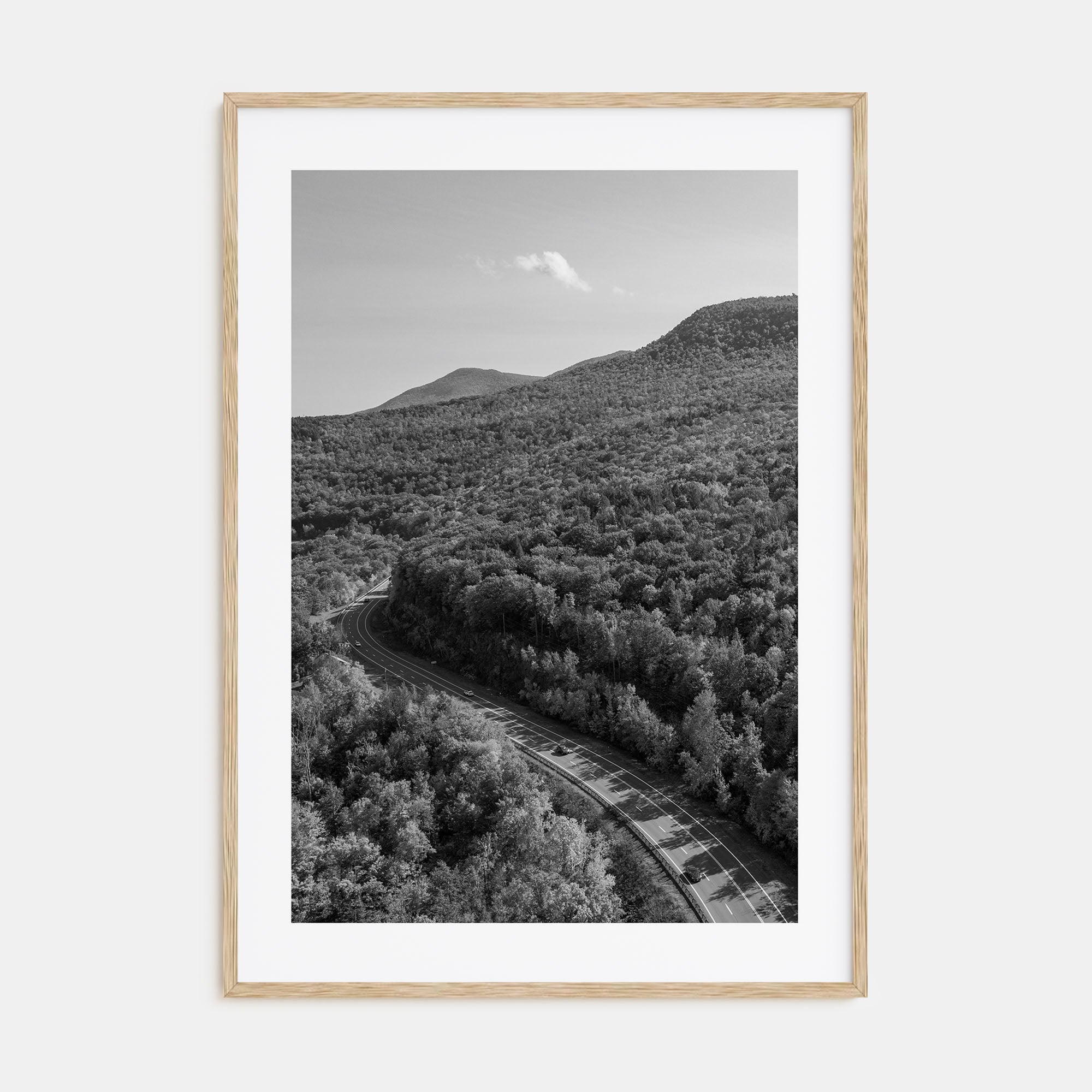 Catskill Mountains Photo B&W Poster
