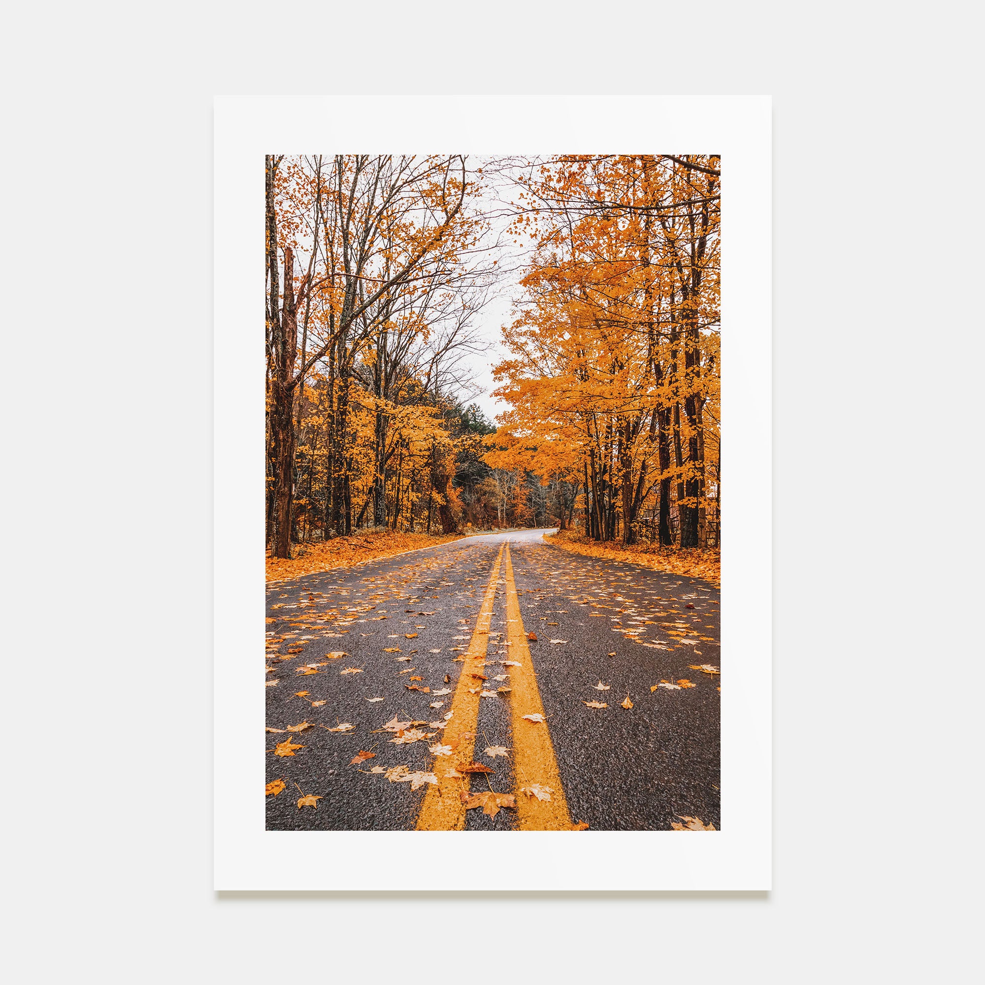 Catskill Mountains Photo Color No 3 Poster