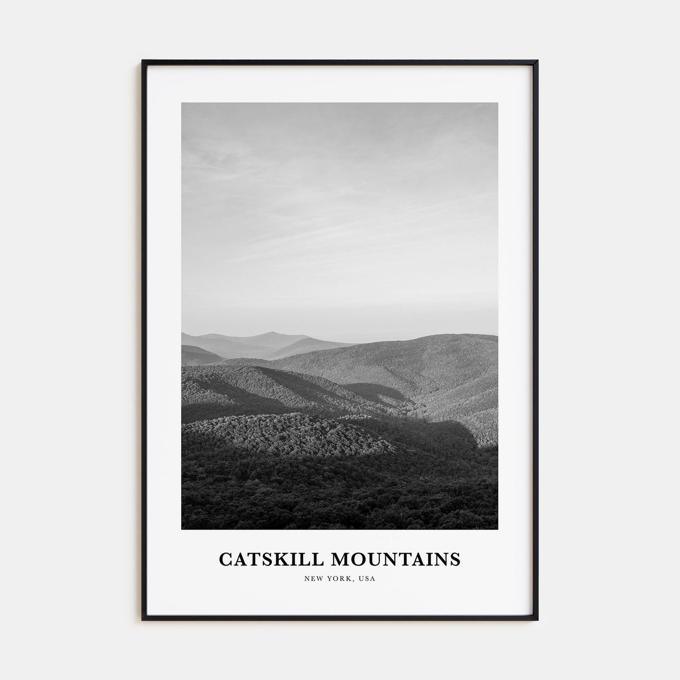 Catskill Mountains Portrait B&W No 1 Poster