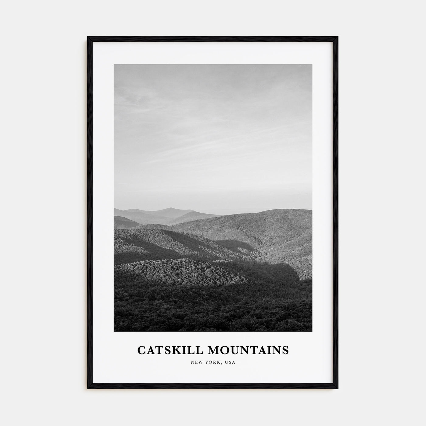 Catskill Mountains Portrait B&W No 1 Poster