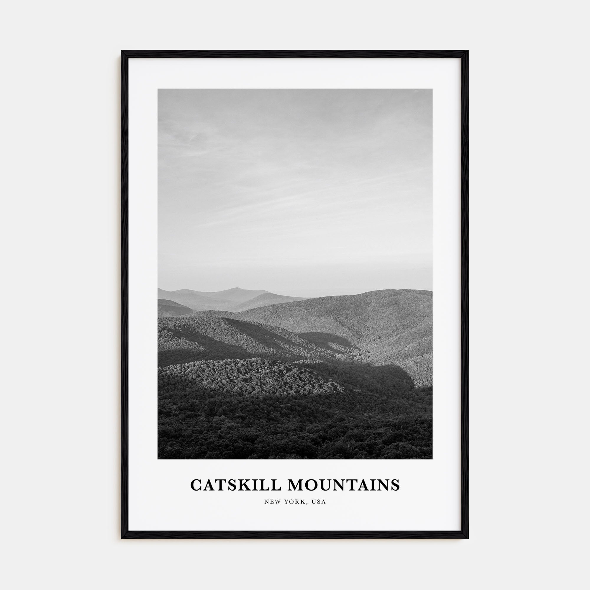 Catskill Mountains Portrait B&W No 1 Poster