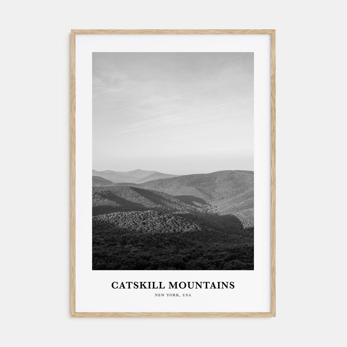 Catskill Mountains Portrait B&W No 1 Poster