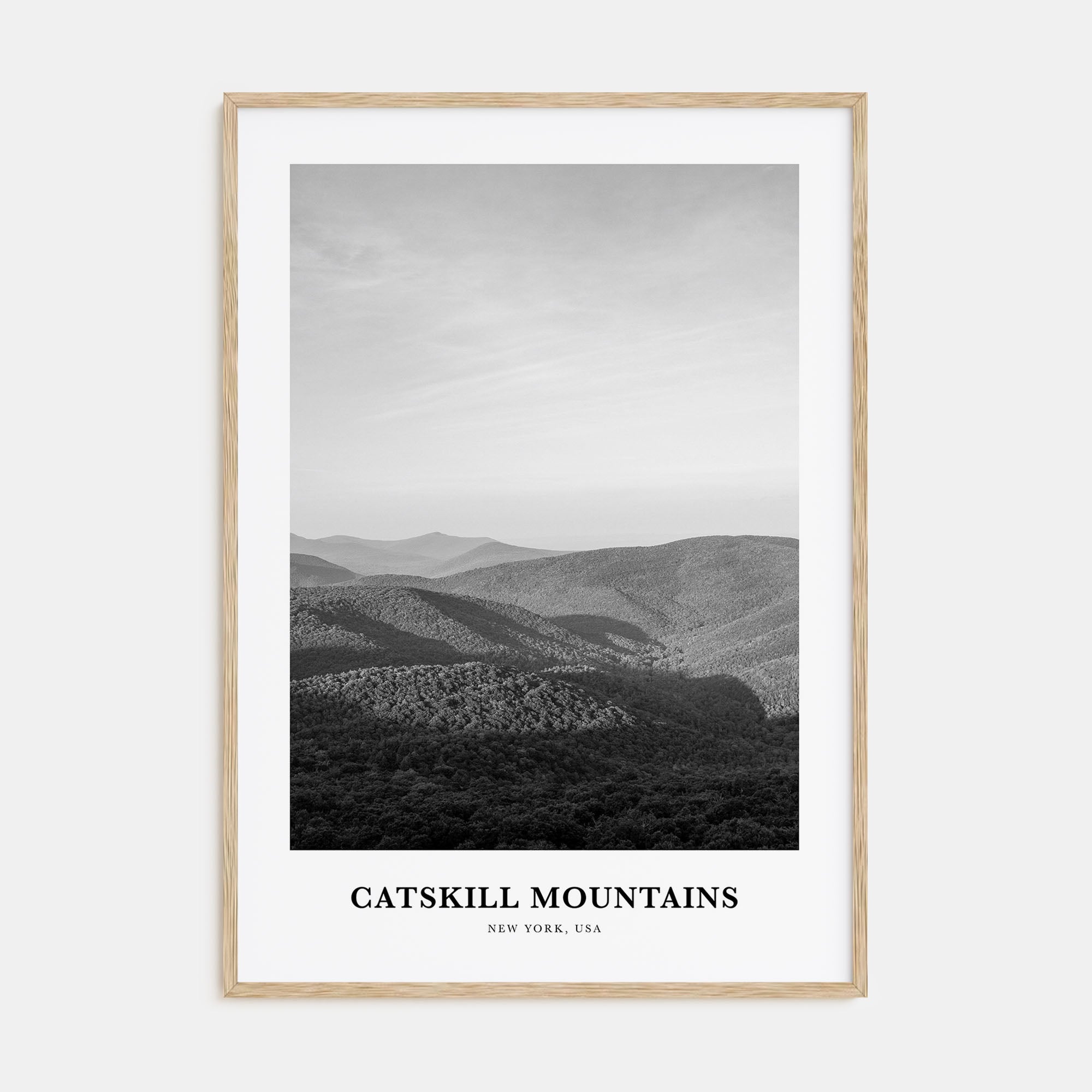 Catskill Mountains Portrait B&W No 1 Poster