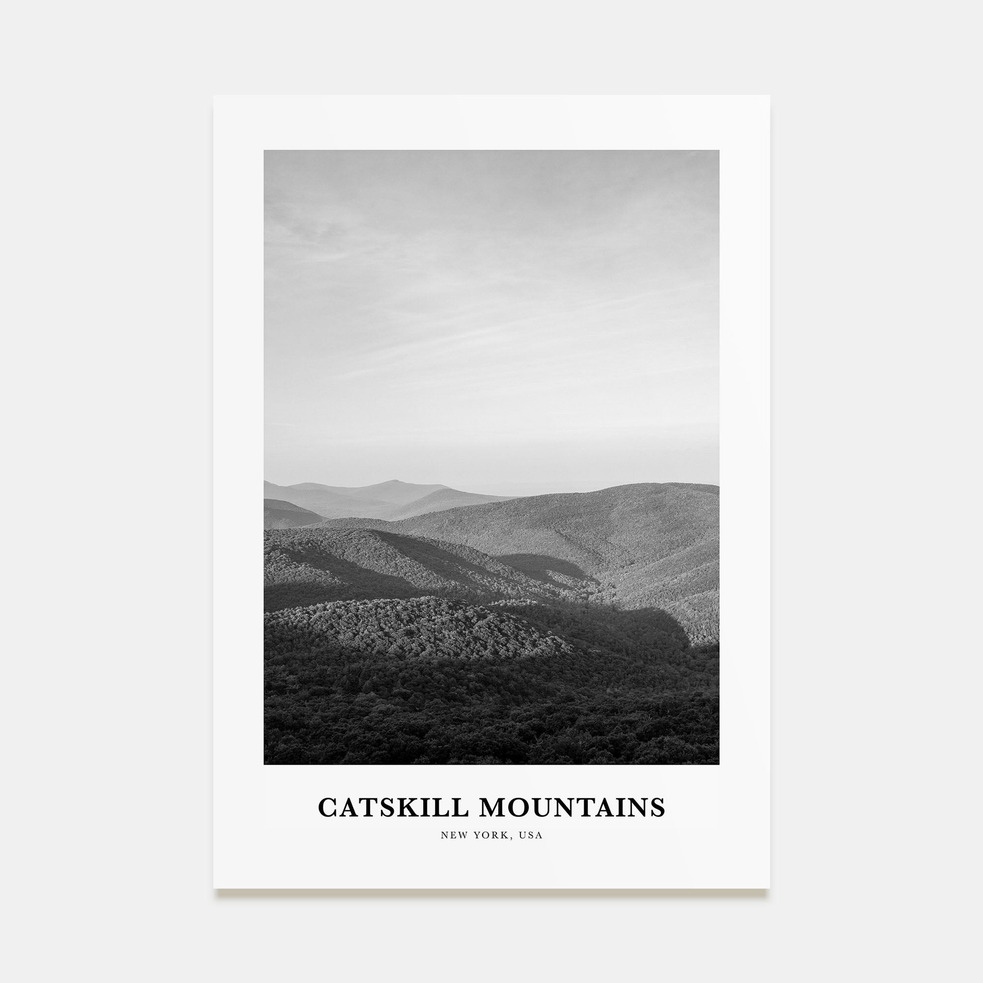 Catskill Mountains Portrait B&W No 1 Poster
