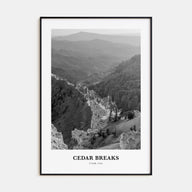 Cedar Breaks National Monument Portrait B&W Poster