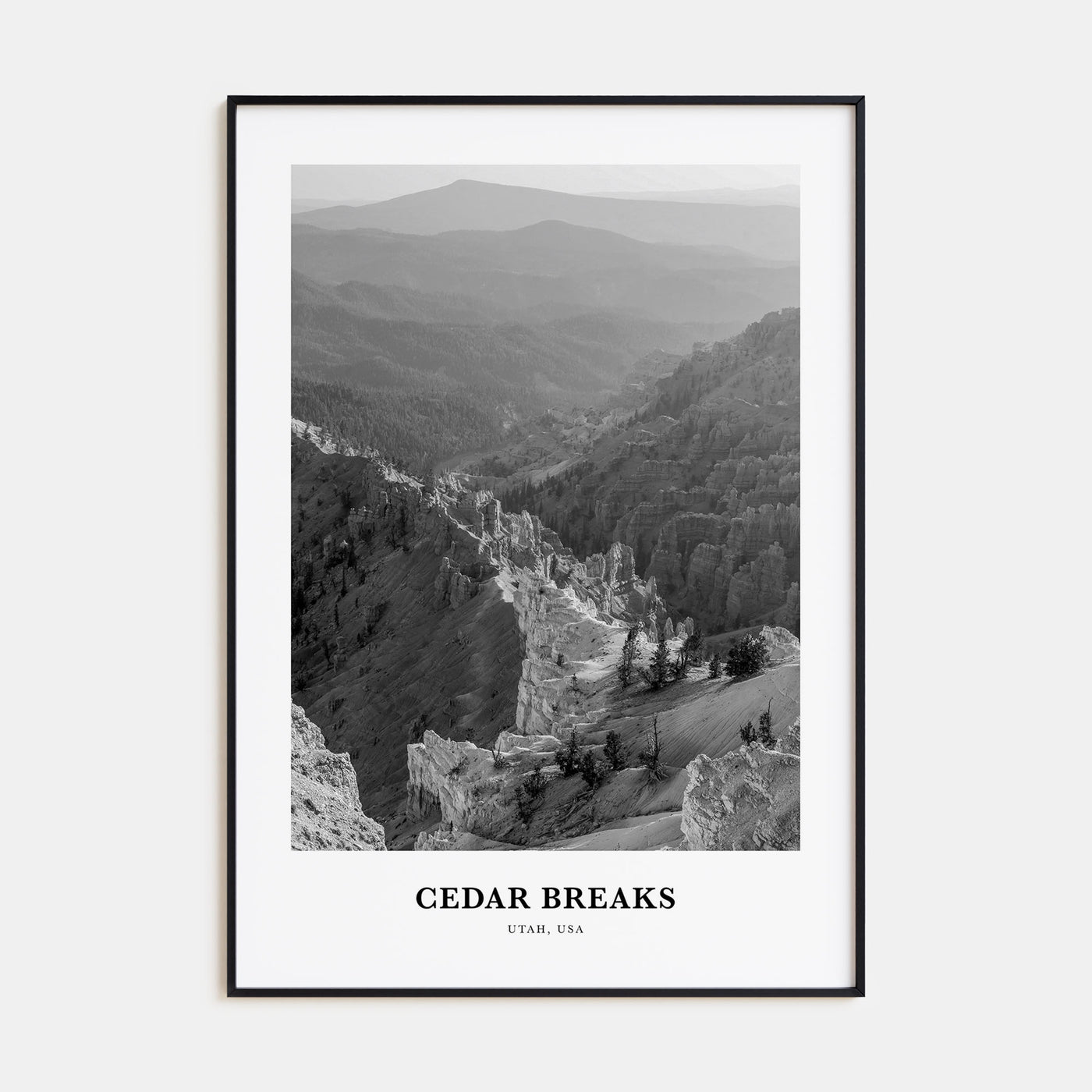 Cedar Breaks National Monument Portrait B&W Poster