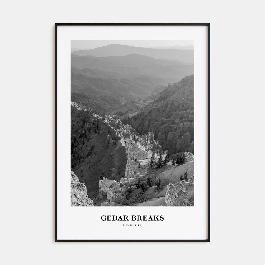 Cedar Breaks National Monument Portrait B&W Poster