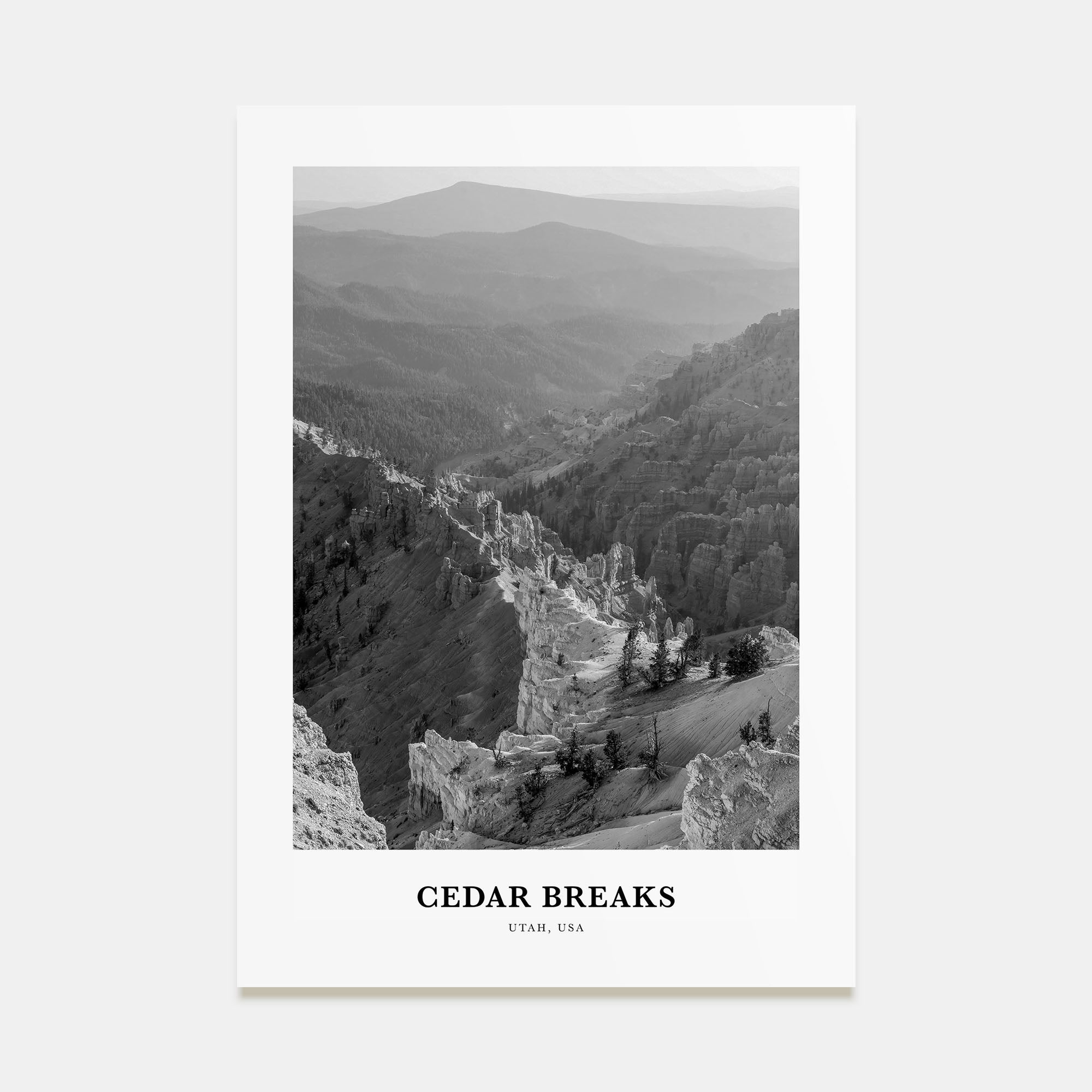 Cedar Breaks National Monument Portrait B&W Poster