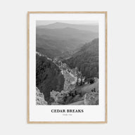 Cedar Breaks National Monument Portrait B&W Poster