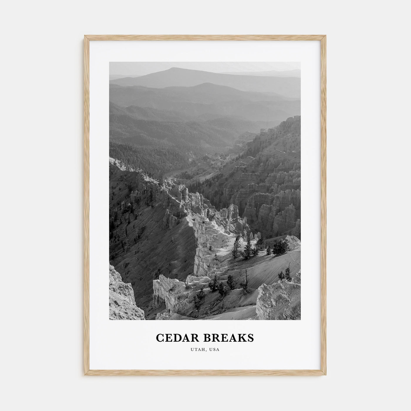Cedar Breaks National Monument Portrait B&W Poster