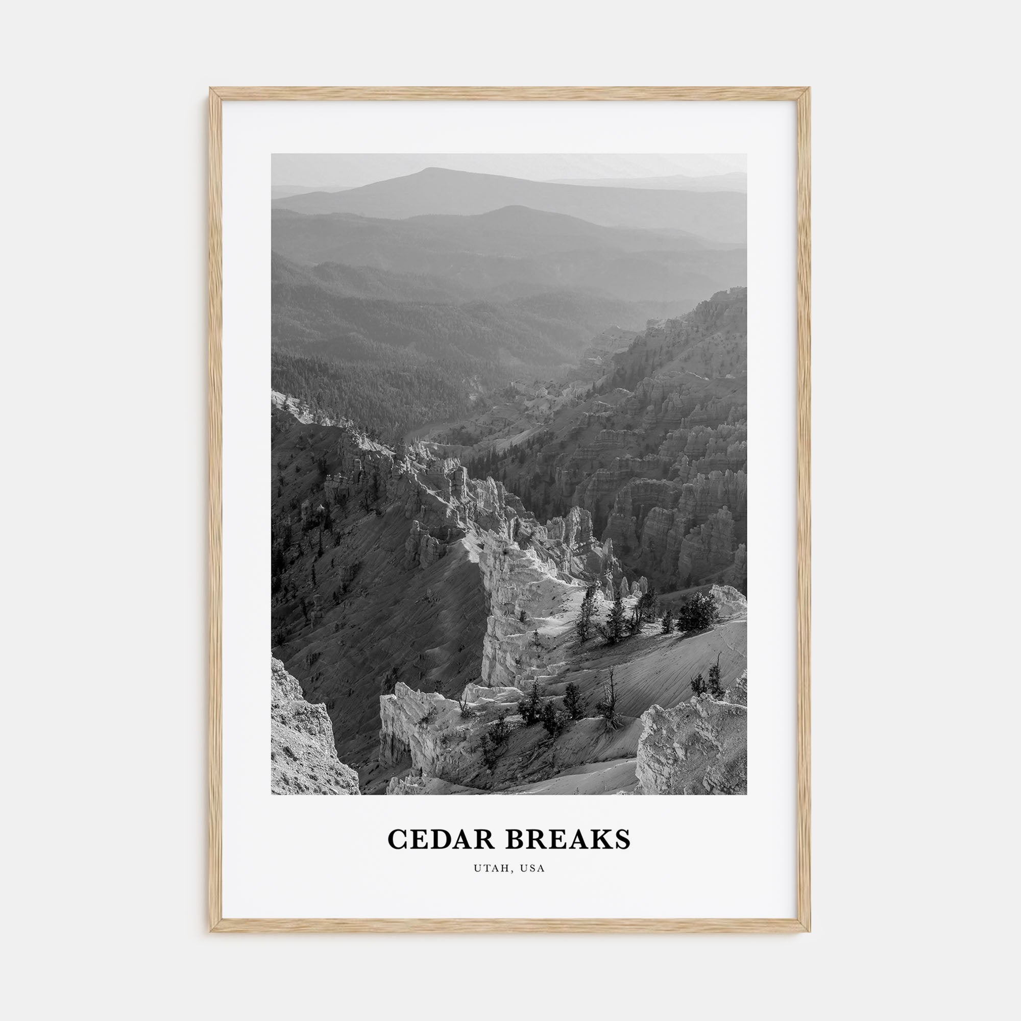 Cedar Breaks National Monument Portrait B&W Poster