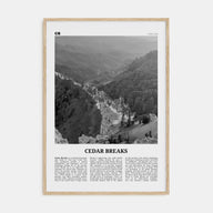 Cedar Breaks National Monument Travel B&W Poster