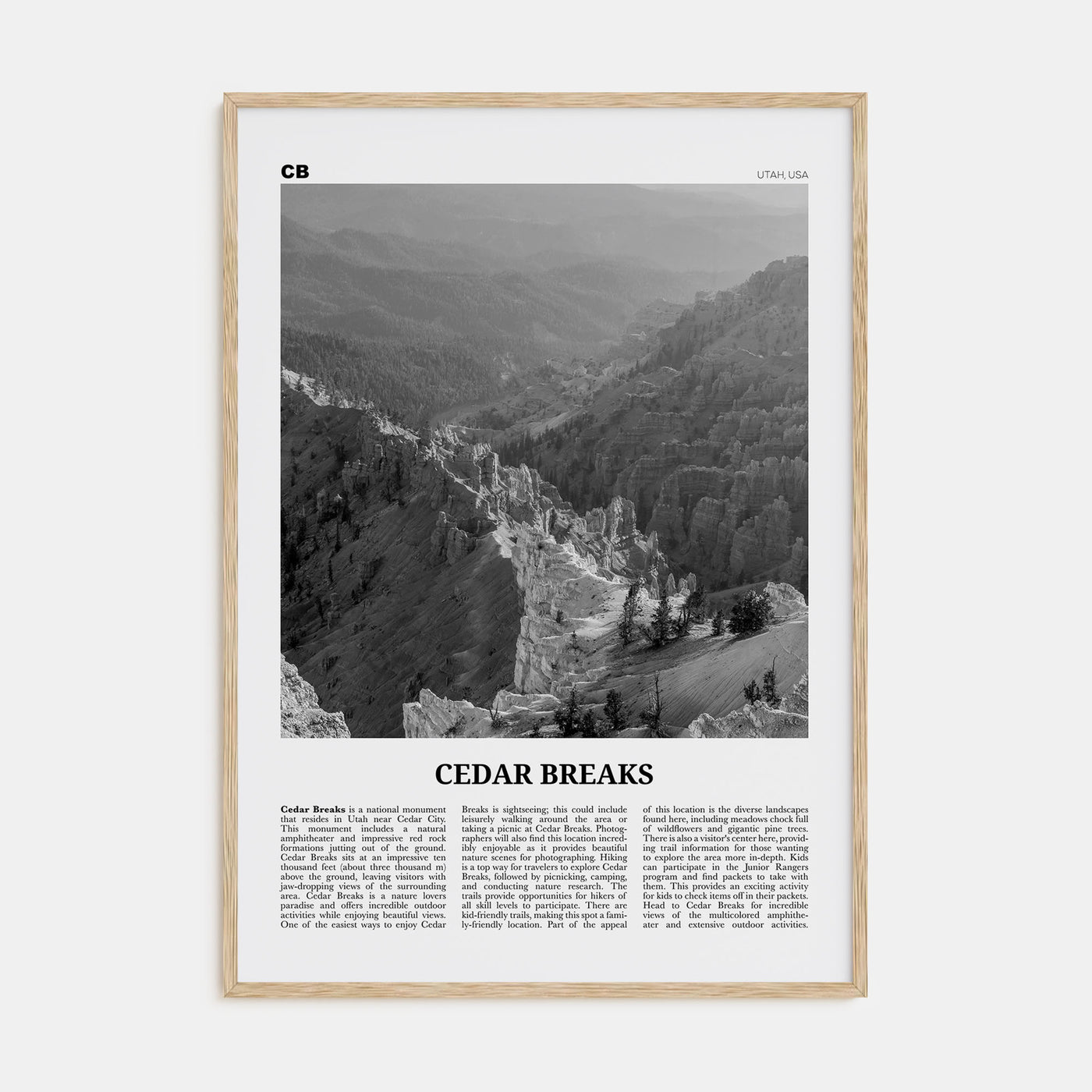 Cedar Breaks National Monument Travel B&W Poster