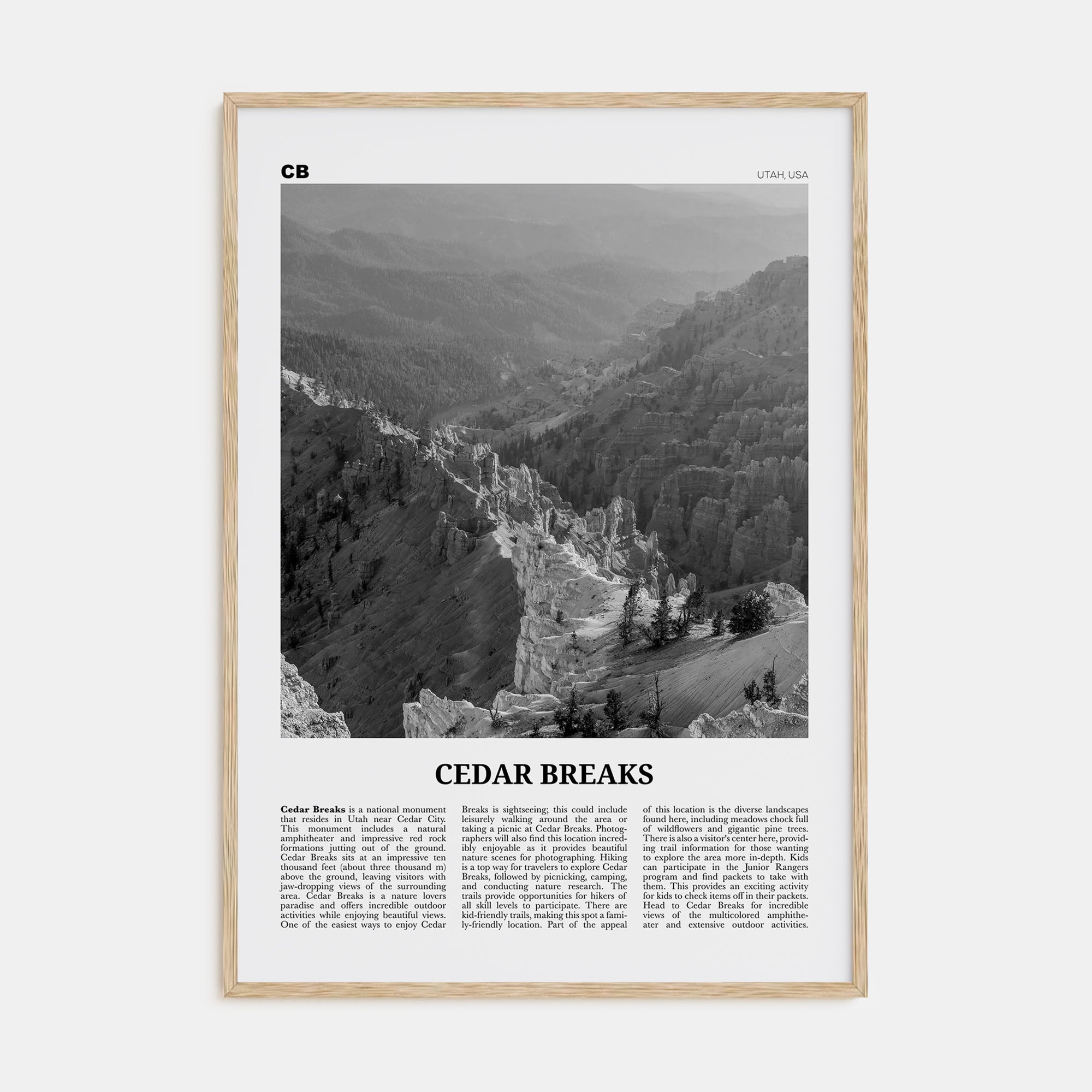 Cedar Breaks National Monument Travel B&W Poster