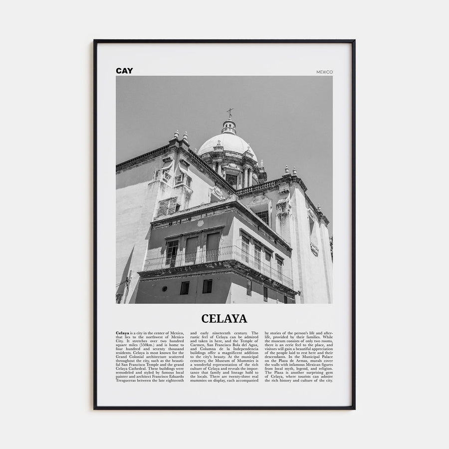 Celaya Travel B&W Poster