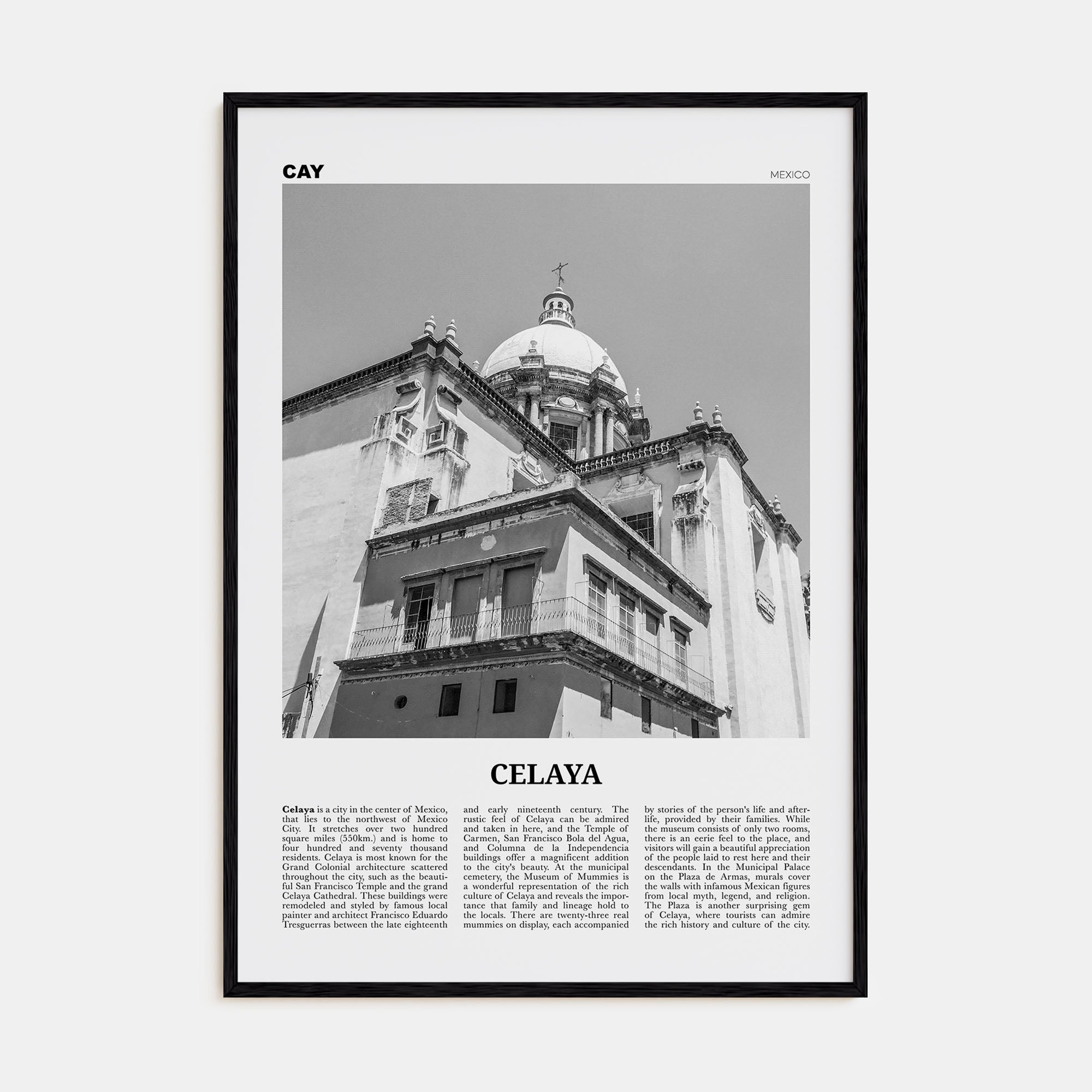Celaya Travel B&W Poster
