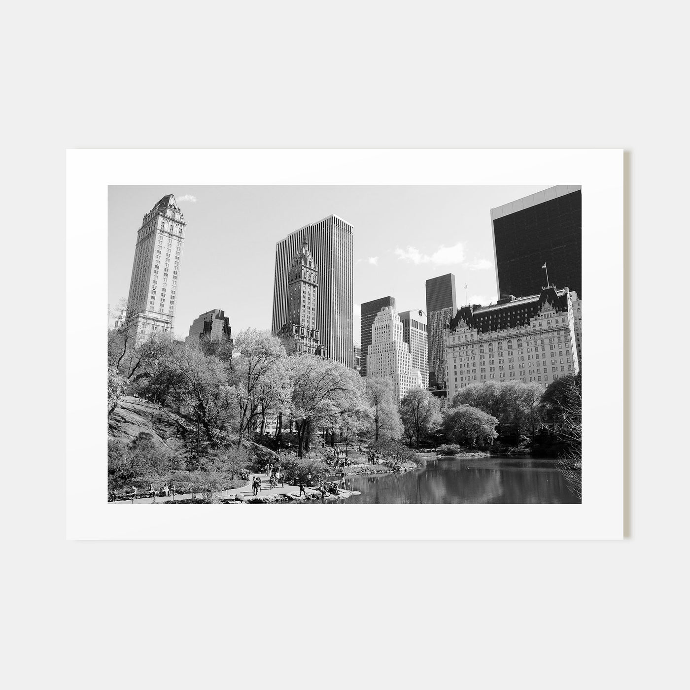 Central Park Landscape B&W Poster