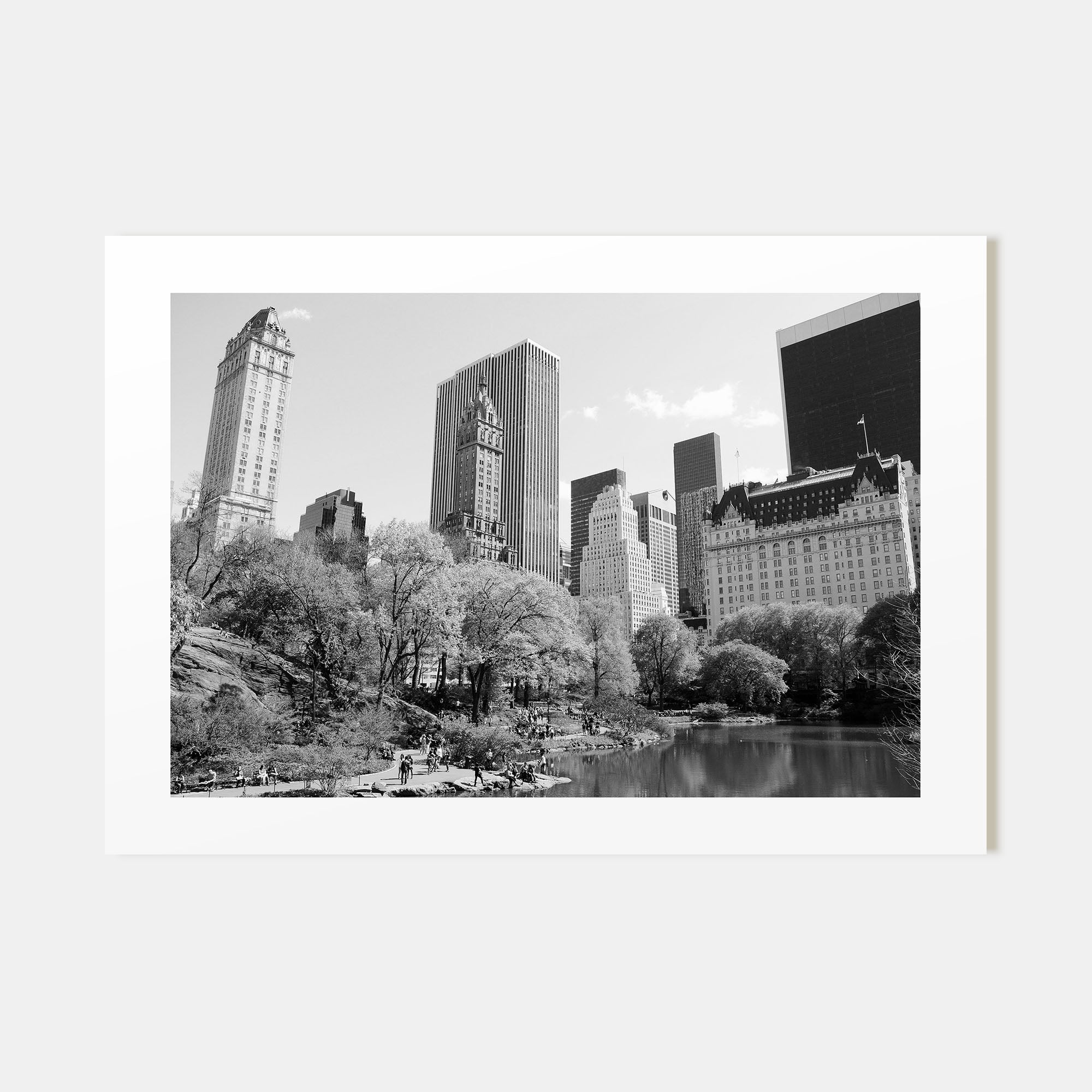 Central Park Landscape B&W Poster