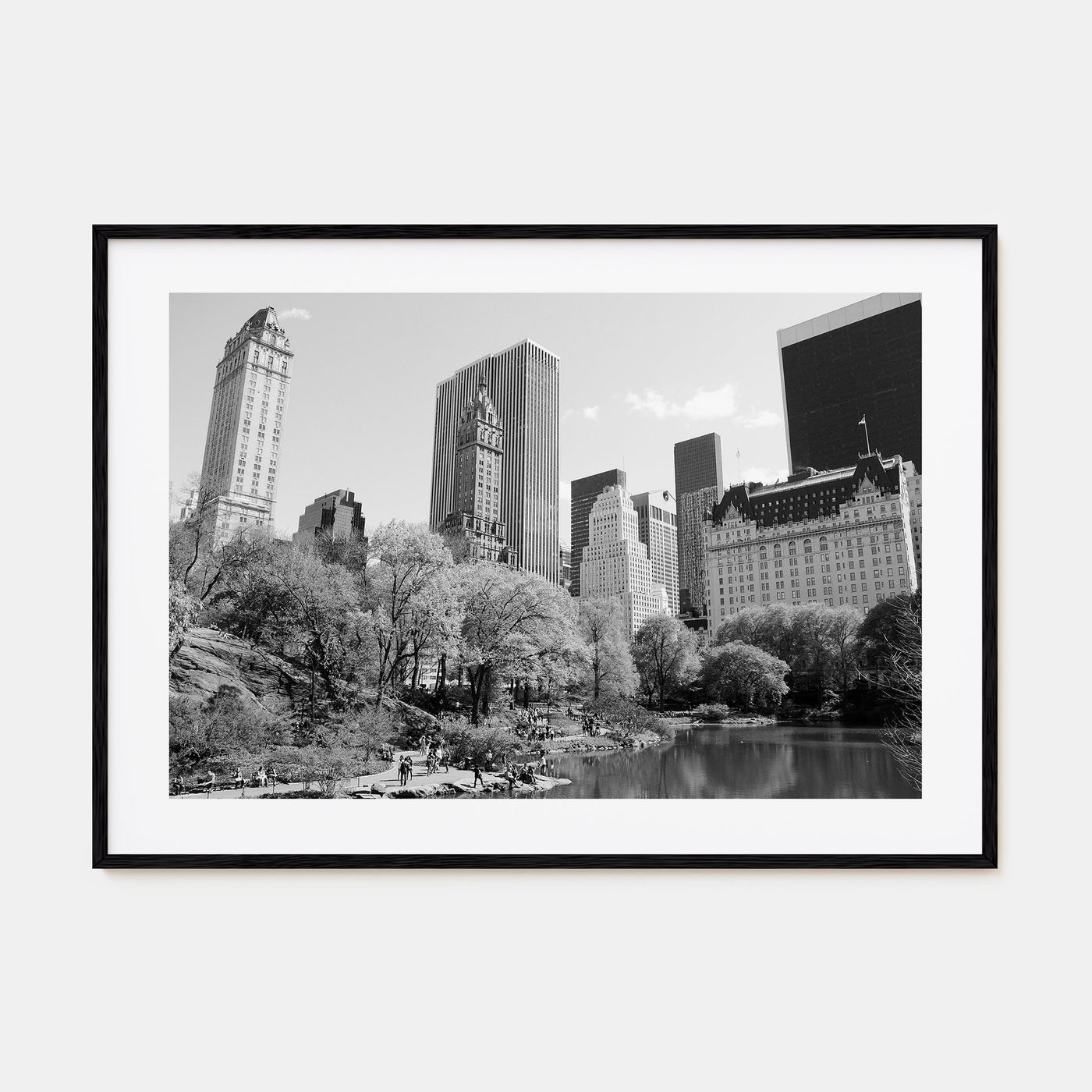 Central Park Landscape B&W Poster