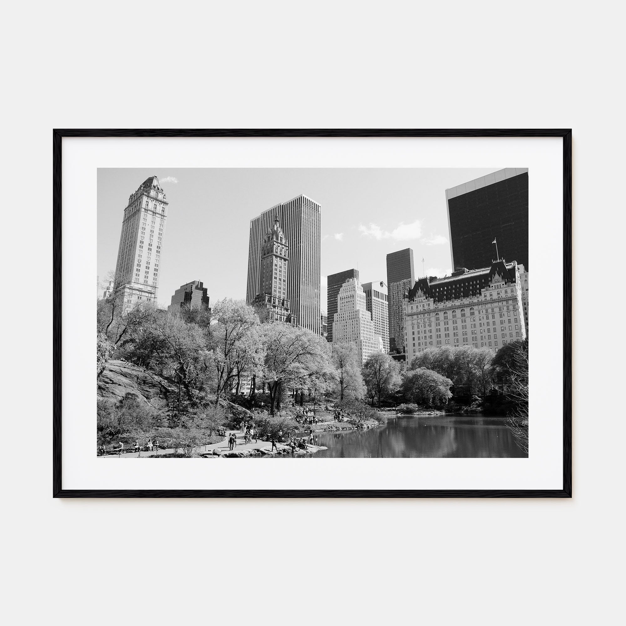 Central Park Landscape B&W Poster