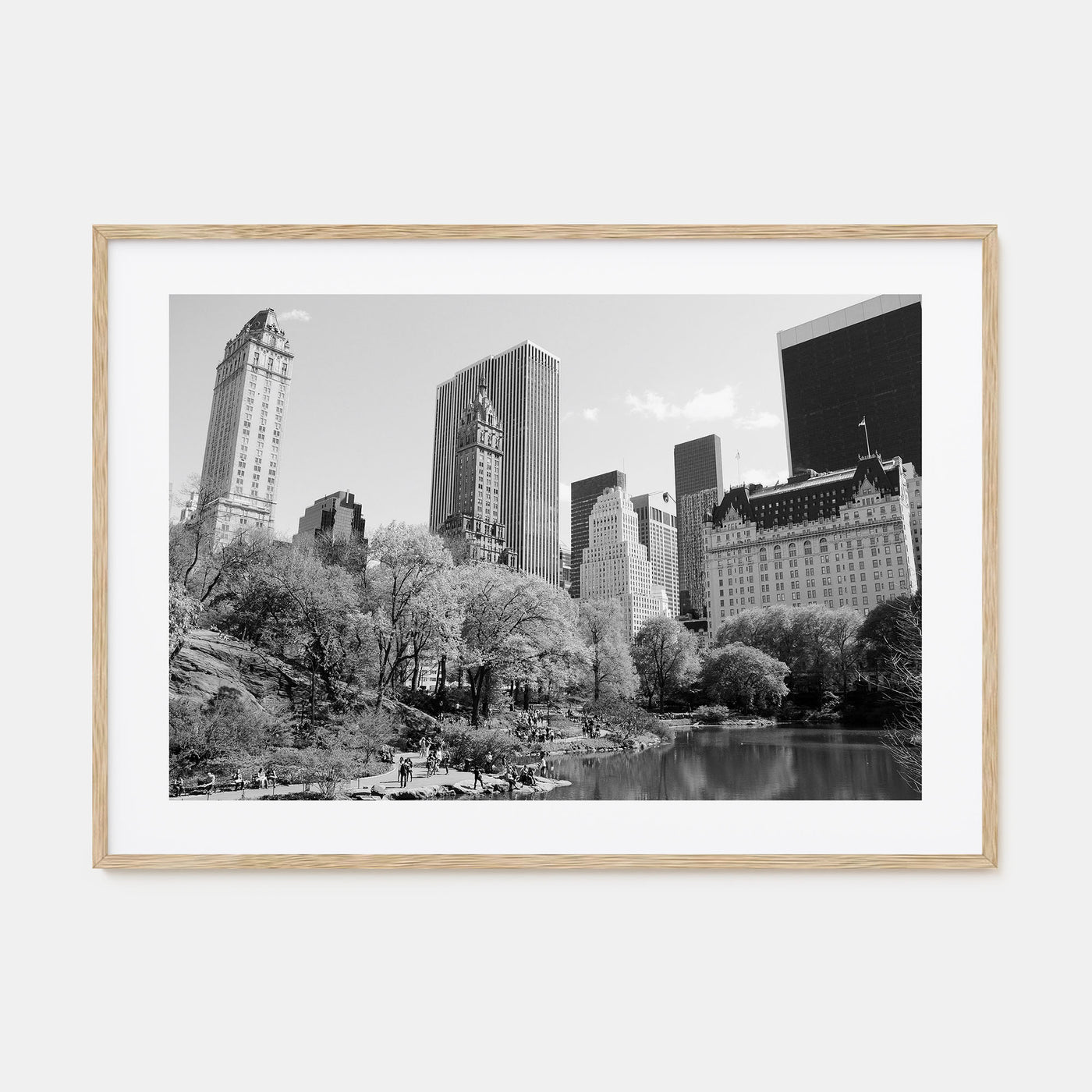 Central Park Landscape B&W Poster