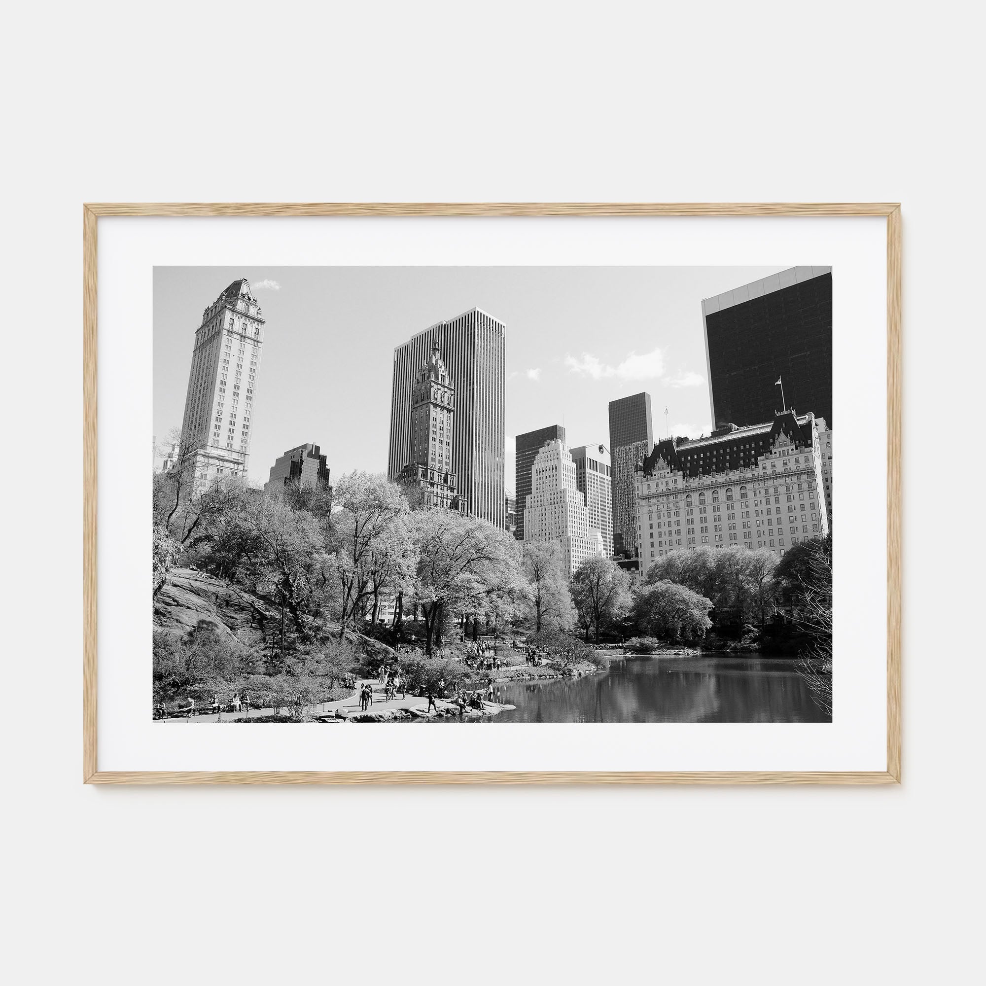 Central Park Landscape B&W Poster