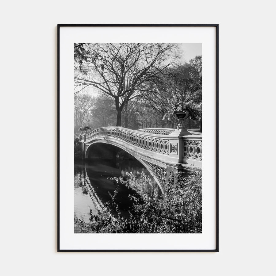 Central Park Photo B&W No 2 Poster